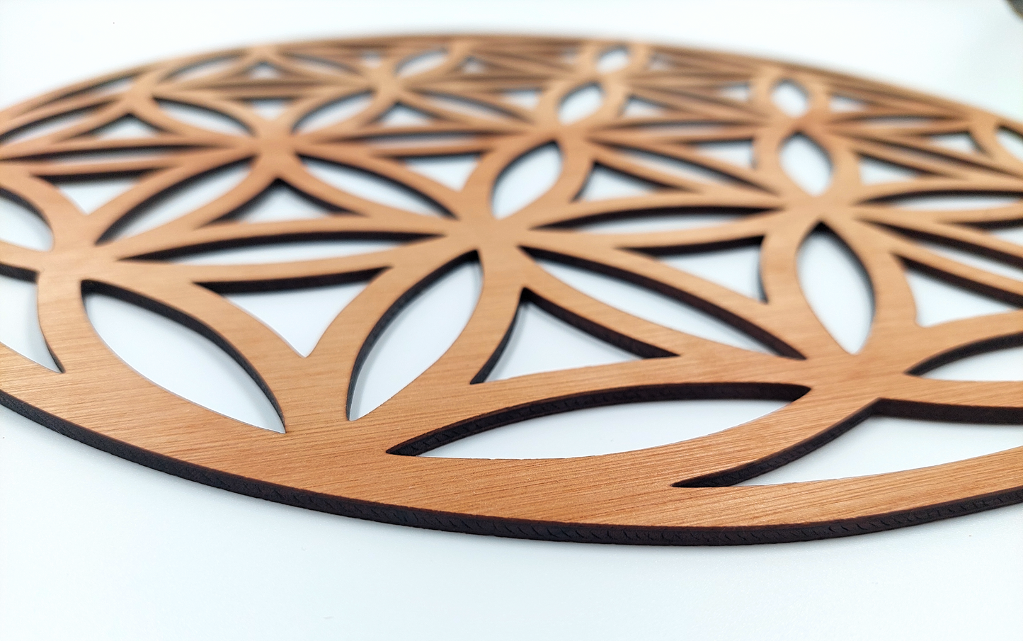 Flower of life detail